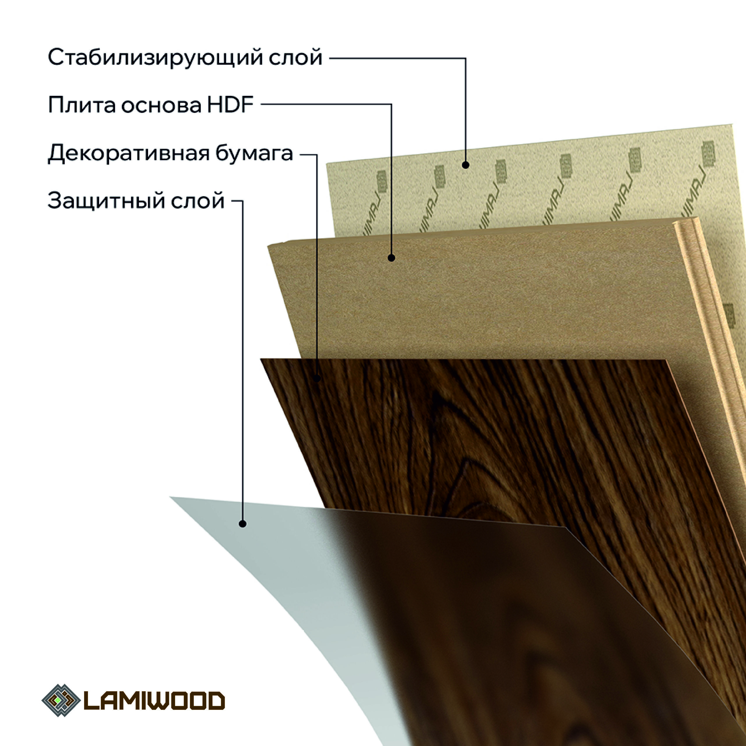 ДИНАСТИЯ (DINASTY) 203 Дуб Морган